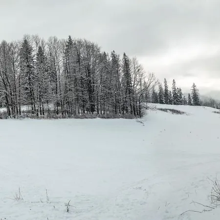Zakoznami- Wywczas *