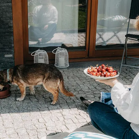 Zakoznami- Wywczas Appartement *